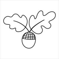 bellota vectorial en blanco y negro con hojas de roble. icono de bosque otoñal de estilo de contorno. caída divertida o ilustración de línea de vegetación forestal aislada en fondo blanco vector