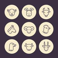 Farm animals line icons set, goat, ram, hen, goose, pig, rabbit, bull, horse, cow head vector