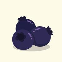 Hand drawn blueberry healthy fruit vector