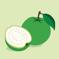 Hand drawn guava fresh fruit, tropical fruit, healthy fruit vector