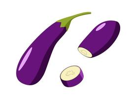 Eggplant whole and half isolated on a white background. Vector illustration of ripe vegetables