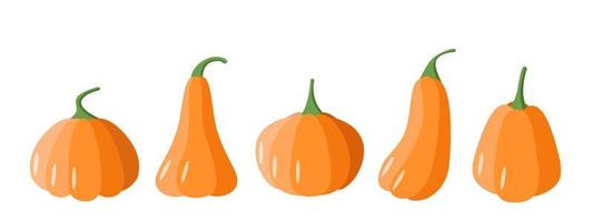 A set of cartoon pumpkins. Pumpkins of different shapes, vector illustration of the autumn vegetable harvest