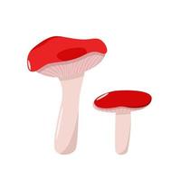 Two colored mushrooms of autumn russula icons vector. Illustration isolated on white vector