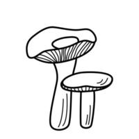 Doodle style mushroom icons vector. Illustration of russula the contour is isolated on white vector