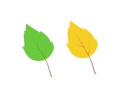 Green and yellow aspen birch leaf isolated on white, vector illustration concept of the transition of summer to autumn