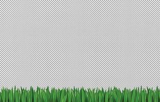 Realistic Grass Element vector