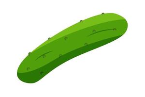 Fresh green cucumber, vector illustration of a vegetable on a white background. Flat style