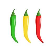 Chili pepper set of three colors, red yellow and green isolated on white. Vector illustration