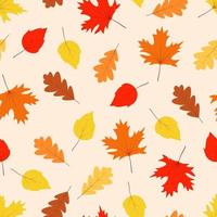 Autumn seamless pattern, yellow and red maple oak and aspen leaves fall in autumn vector