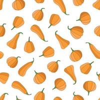 Seamless pattern of different shapes of pumpkins, background from the autumn harvest of pumpkins vector