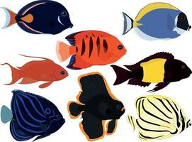 Exotic tropical aquarium fish collection vector illustration