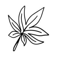 hoja de cannabis silvestre tropical vectorial aislada en fondo blanco. ilustración de marihuana medicinal para diseño de temporada, textil, decoración de sala de juegos para adultos o tarjeta de felicitación. impresiones dibujadas a mano y garabatos. vector