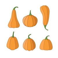 un conjunto de calabazas de dibujos animados. calabazas de diferentes formas, ilustración vectorial de la cosecha de verduras de otoño vector
