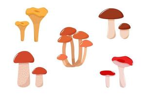 conjunto de vectores de iconos de setas. ilustración de boletus, rebozuelos, champiñones de miel, champiñones de álamo temblón y russula