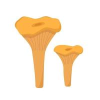 Two colored mushrooms of autumn chanterelles icons vector. Illustration isolated on white vector