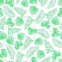 Seamless pattern green palm leaf set. Vector illustration tropical plants