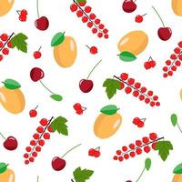 Seamless pattern of summer berries, apricot currant and cherry vector