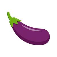 Eggplant vector isolated on white background