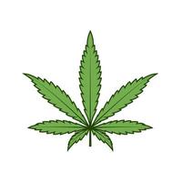 Marijuana leaf  vector isolated on white background