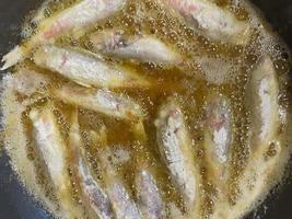 Frying mullet fish in hot sunflower oil photo