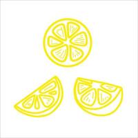 Vector hand drawn set of lemon isolated on white background icon. Funny doodle slices of lemon for seasonal design, textile, decoration caffe or greeting card. Retro isolated sketches in vintage style