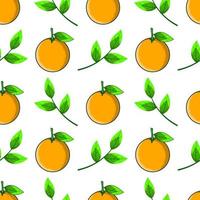 Orange fruit seamless pattern vector