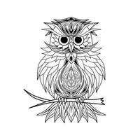 Owl line art on white background vector