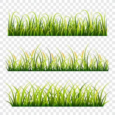 Set of Green Grass