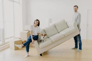 Happy couple move furniture in their new modern home, carry sofa with pet, pose in spacious room, lift couch in living room, have happy looks, celebrate moving day, carton boxes on floor near photo