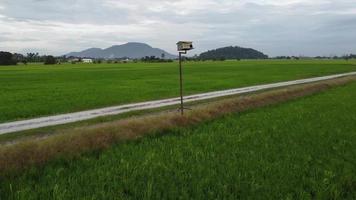 Luftfliege zum Vogelhaus video