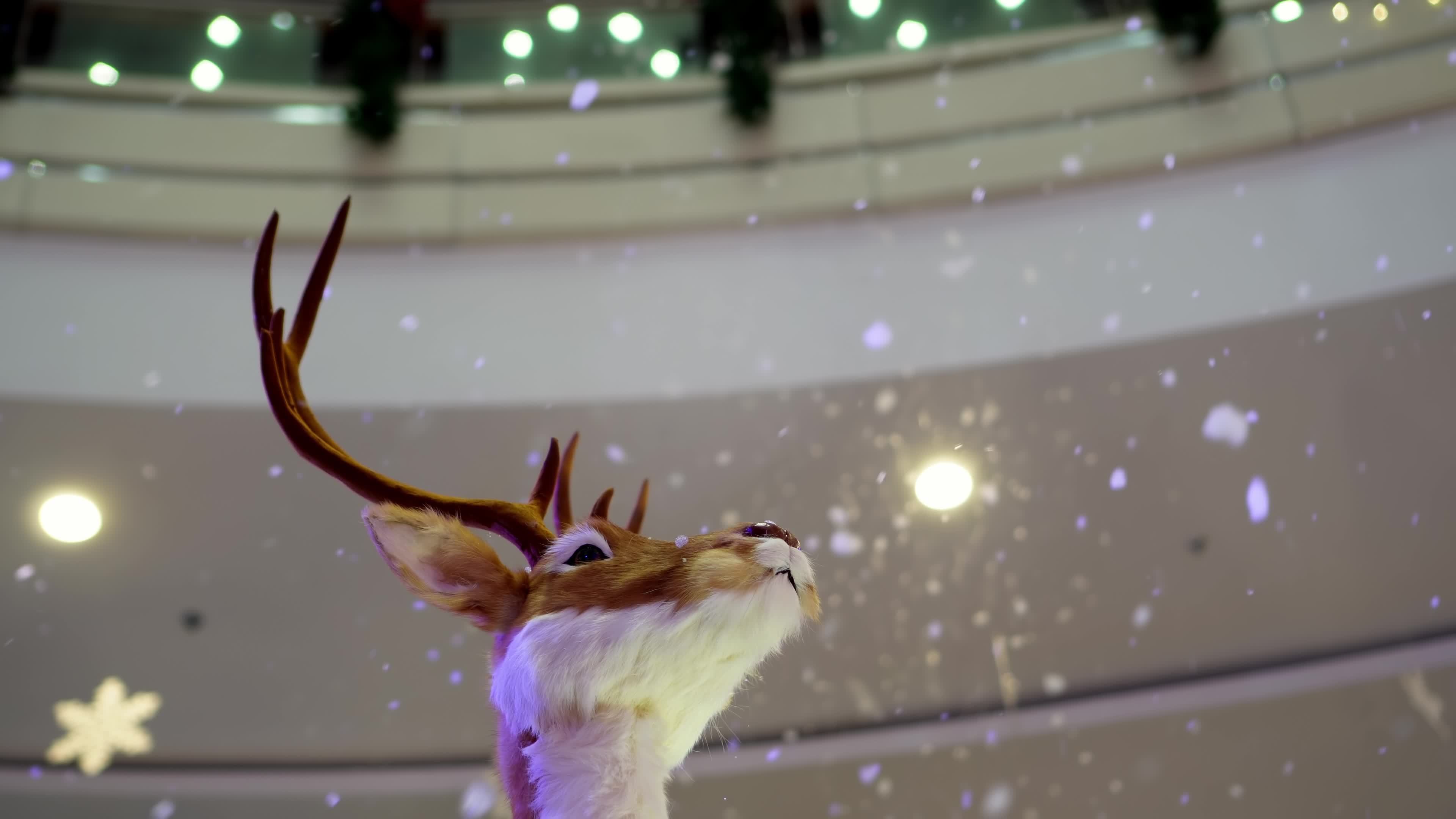 Artificial snow fall on the deer head 7909010 Stock Video at Vecteezy Artificial snow fall on the deer head 7909010 Stock Video at Vecteezy