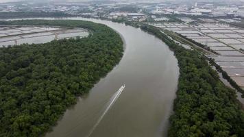 Aerial fishing boat move at river near mangrove tree video