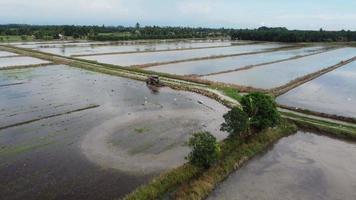 Tractors plowing and white egret searching food. video