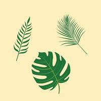 set of green tropical leaves monstera leaf vector