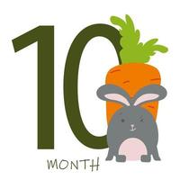 10 month of a baby s life with a bunny vector