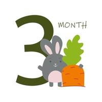 3 month of a baby s life with a bunny vector