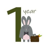 1 year of a baby s life with a bunny vector