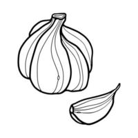 Garlic and Garlic Clove hand-drawn outline doodle Vector Illustration