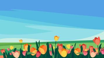 tulipanes de diferentes colores en el prado. vector