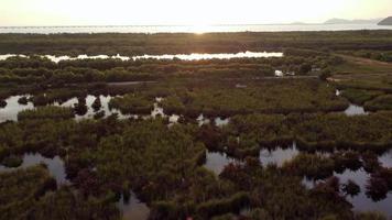 beweeg over zonnig flare-wetland met weerspiegeling van de lucht video