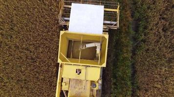Aerial look down the grain tank function at harvester machine video