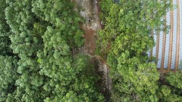 luchtfoto kijk naar beneden groep mensen fietsen video