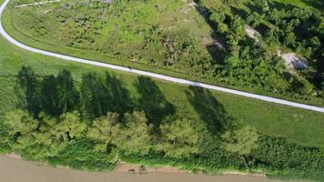 Luftaufnahme Blick nach unten grünes ländliches Motiv Mangrovenbaum video