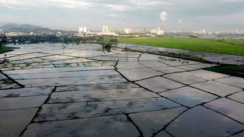 reflejo de la vista aérea del cielo sobre el agua en el campo de arroz video