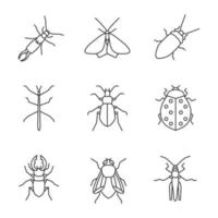 conjunto de iconos lineales de insectos. tijereta, polilla, cucaracha, chinche palo, escarabajos de tierra y ciervo, mariquita, mosca doméstica, saltamontes. símbolos de contorno de línea delgada. Ilustraciones de vectores aislados