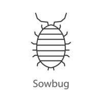 Woodlouse linear icon. Roll up bug. Thin line illustration. Sowbug. Contour symbol. Vector isolated outline drawing