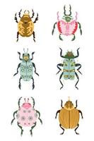 Bug species and exotic beetles icons collection. Set of various insect bugs in flat cartoon style isolated on white background. Vector Illustration for print, nursery, apparel, cards.