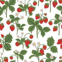 Wild strawberries bush vector seamless pattern. Summer forest berry hand drawn texture for wallpapers, textile, wrapping paper, fabric, packaging, greeting cards. Cute fruit flat cartoon background.