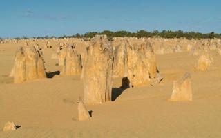 Nambung National Park, Western Australia photo