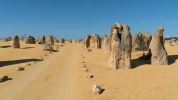 Nambung National Park, Western Australia photo